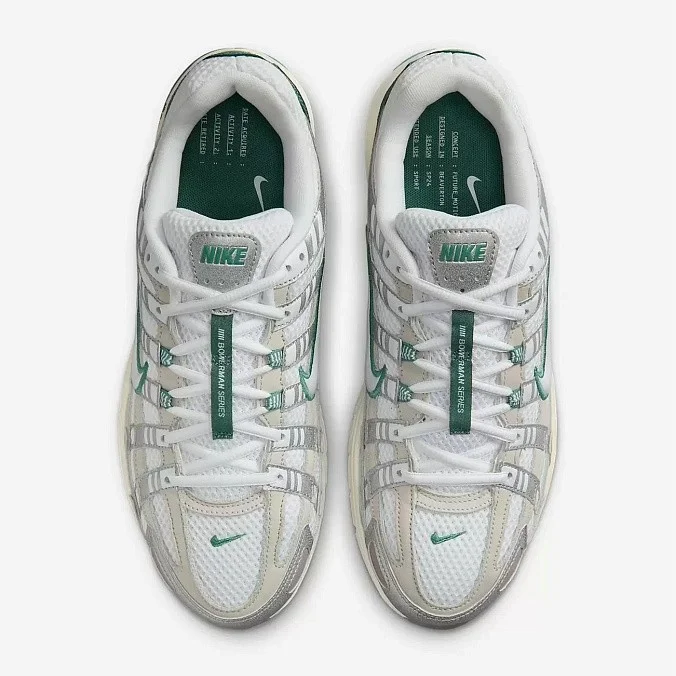 Кроссовки Nike P-6000 Premium Light Bone/Metallic Silver/Bicoastal/White